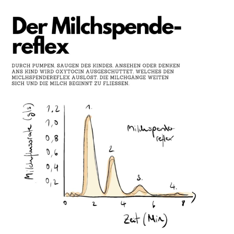 Der Milchspendereflex